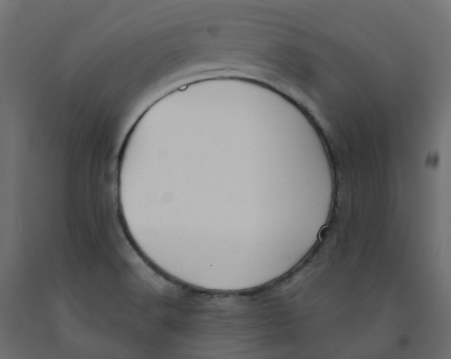 X0000091991516200710041120