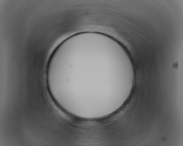 X0000091991517200710041120