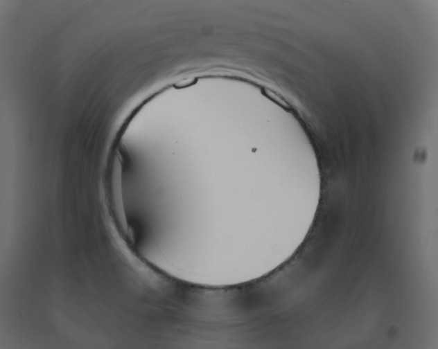 X0000091991518200710041120