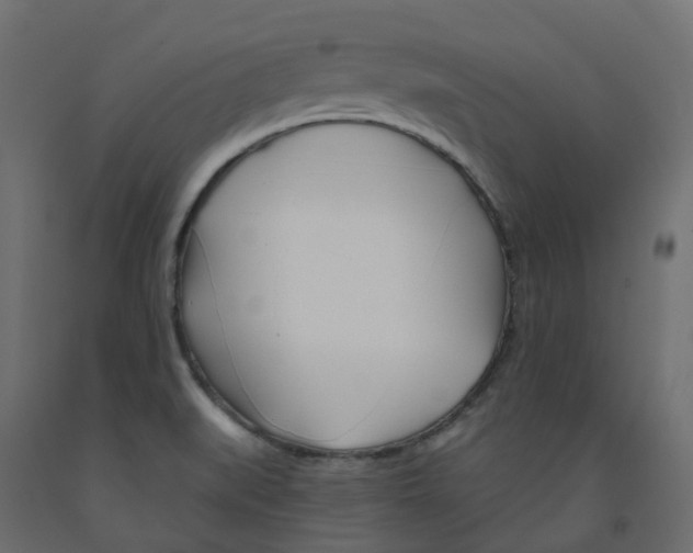X0000091991519200710041120