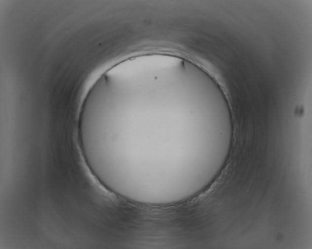 X0000091991520200710041120