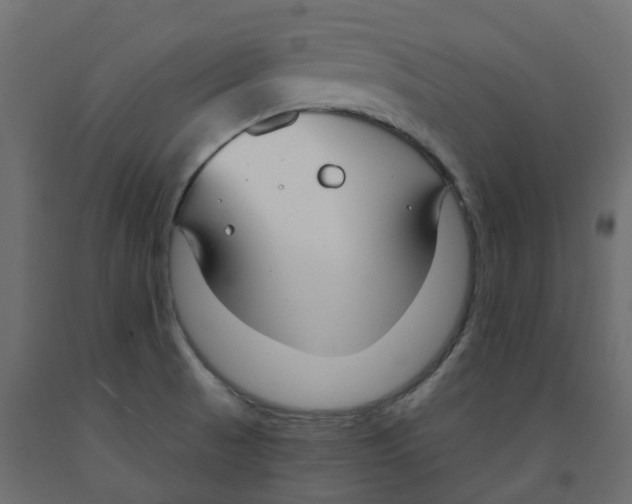 X0000091991521200710041120