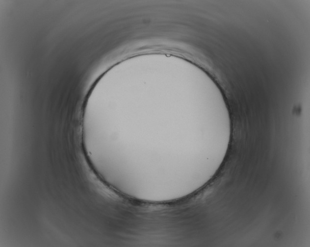 X0000091991522200710041120