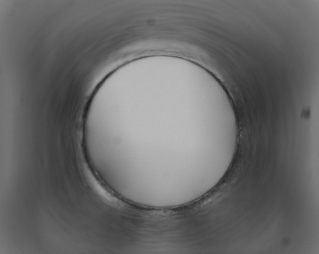 X0000091991523200710041120
