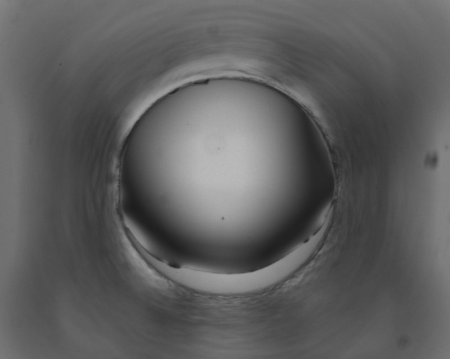 X0000091991524200710041120