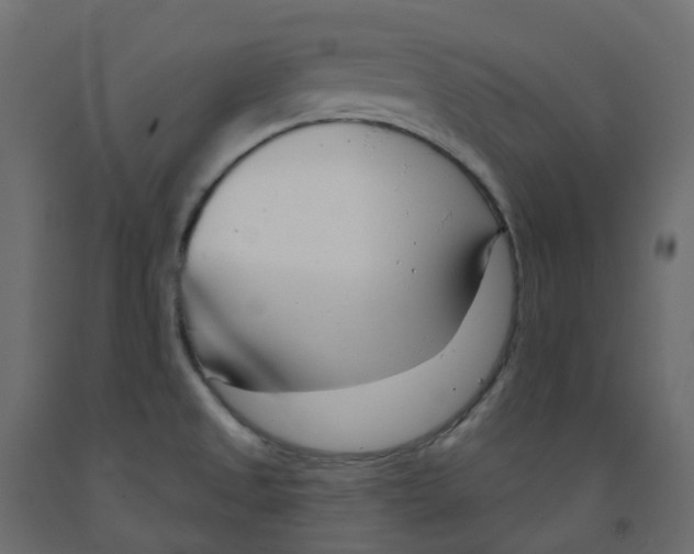 X0000091991525200710041120