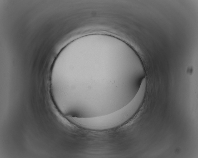 X0000091991526200710041120