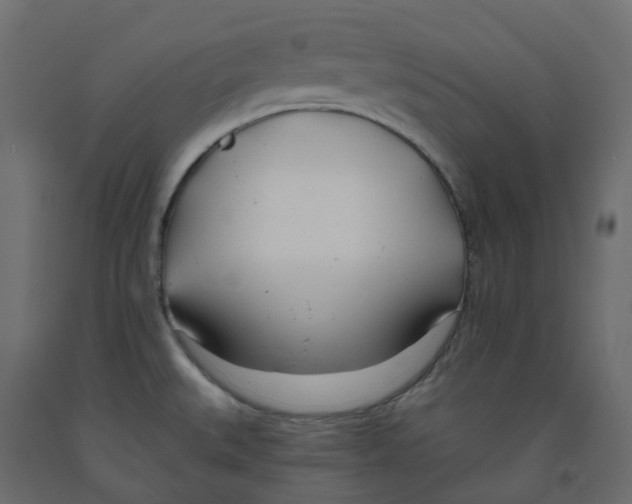 X0000091991527200710041120