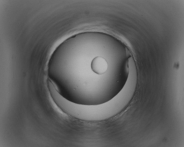 X0000091991528200710041120