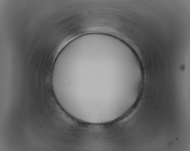 X0000091991529200710041120