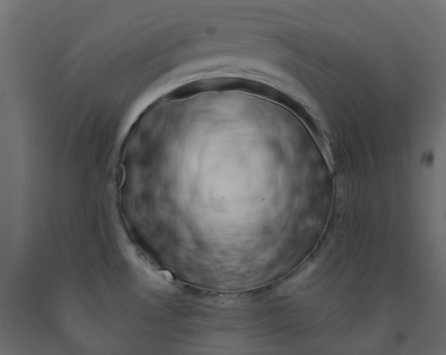 X0000091991530200710041120