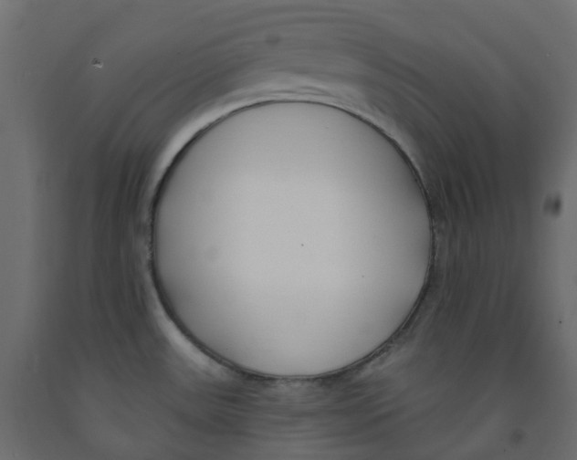 X0000091991531200710041120