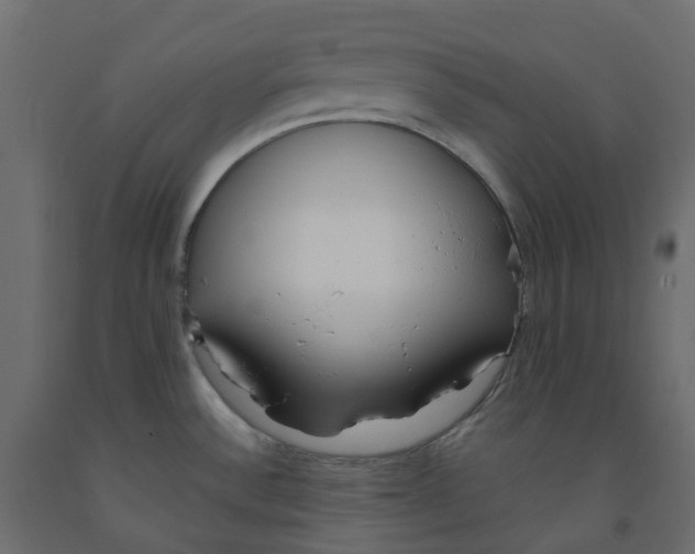 X0000091991532200710041120