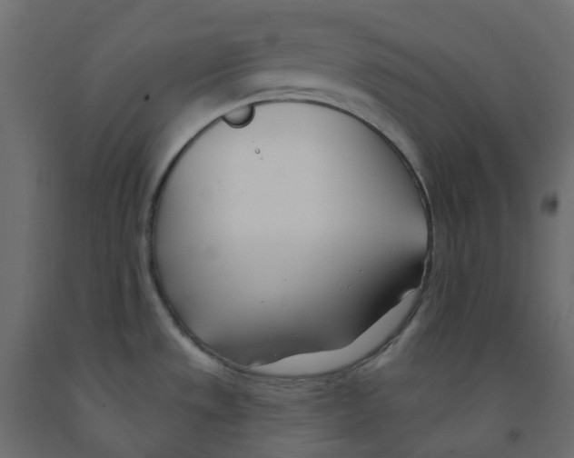 X0000091991533200710041120