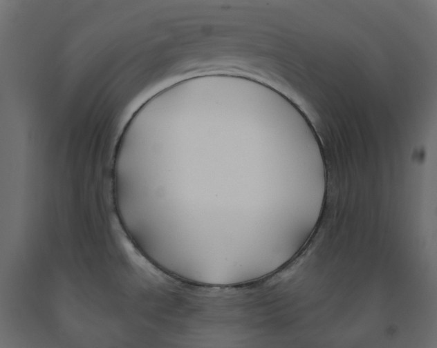 X0000091991534200710041120