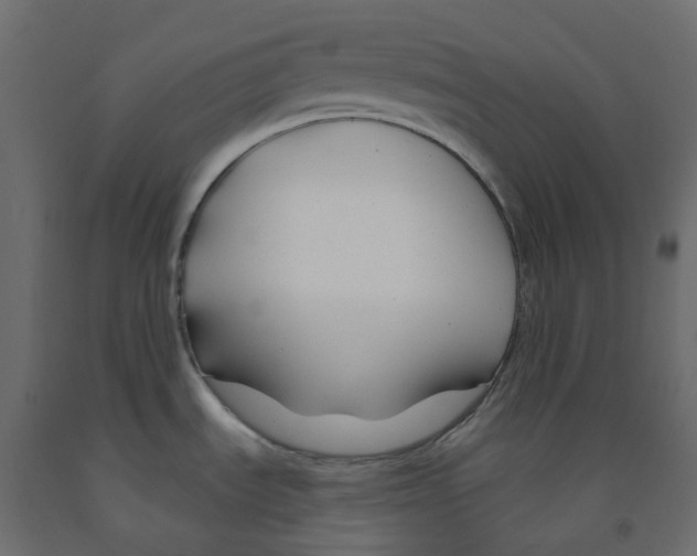 X0000091991535200710041120