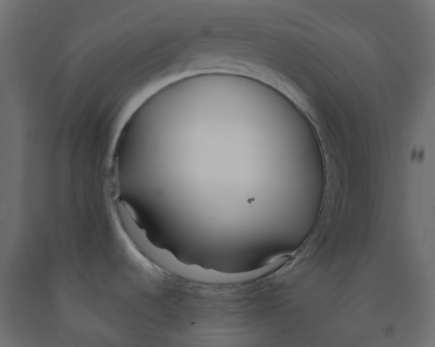 X0000091991536200710041120