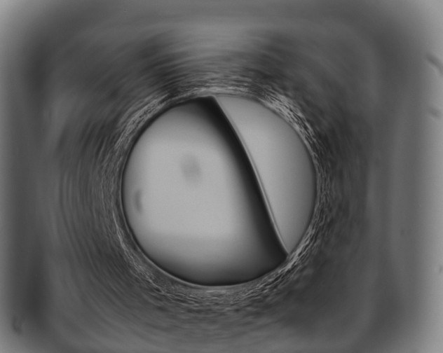 X0000092000001200709061249