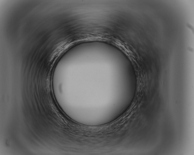X0000092000002200709061249