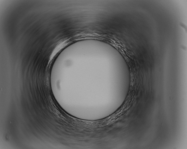 X0000092000004200709061249