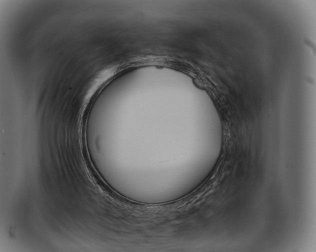 X0000092000006200709061249