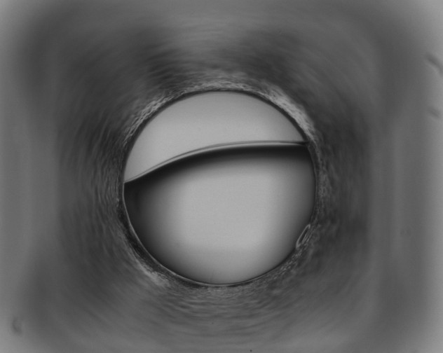 X0000092000009200709061249