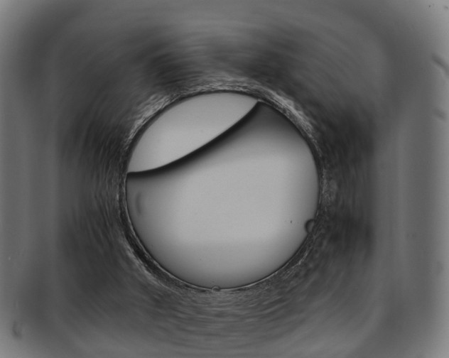 X0000092000010200709061249
