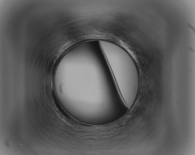 X0000092000011200709061249