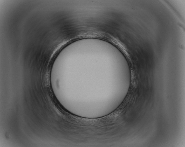 X0000092000012200709061249