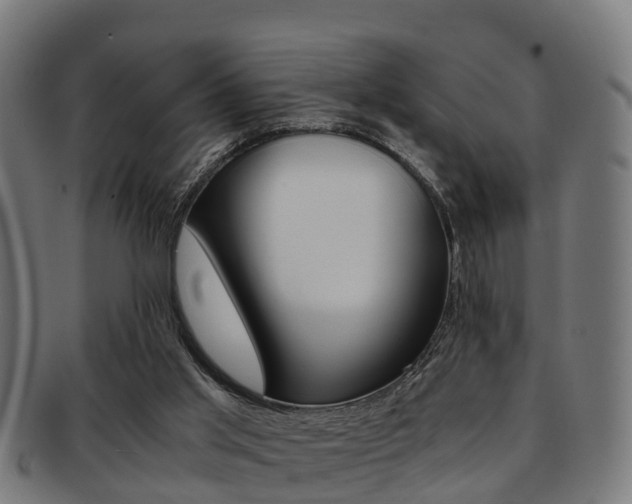 X0000092000013200709061249