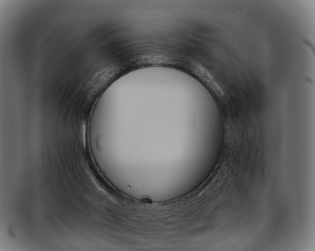 X0000092000014200709061249