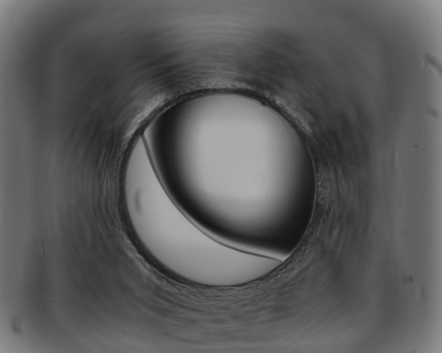 X0000092000015200709061249