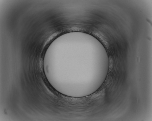 X0000092000016200709061249