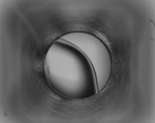 X0000092000017200709061249