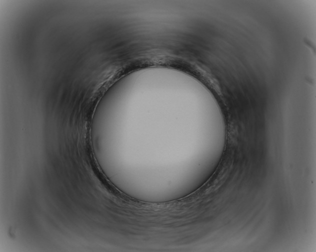 X0000092000018200709061249