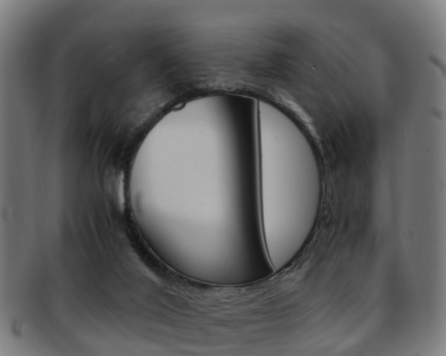 X0000092000020200709061249