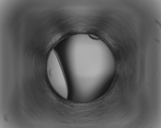 X0000092000023200709061249