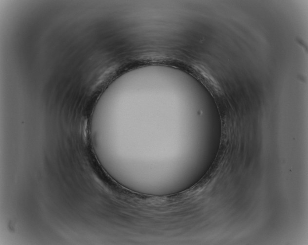 X0000092000024200709061249