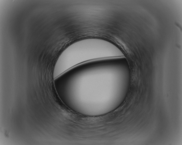 X0000092000025200709061249