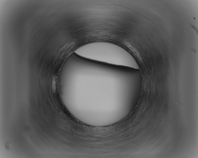 X0000092000026200709061249