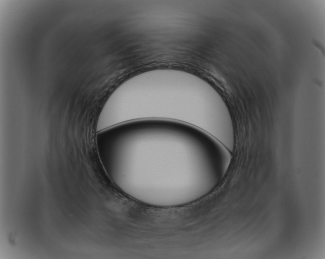 X0000092000029200709061249