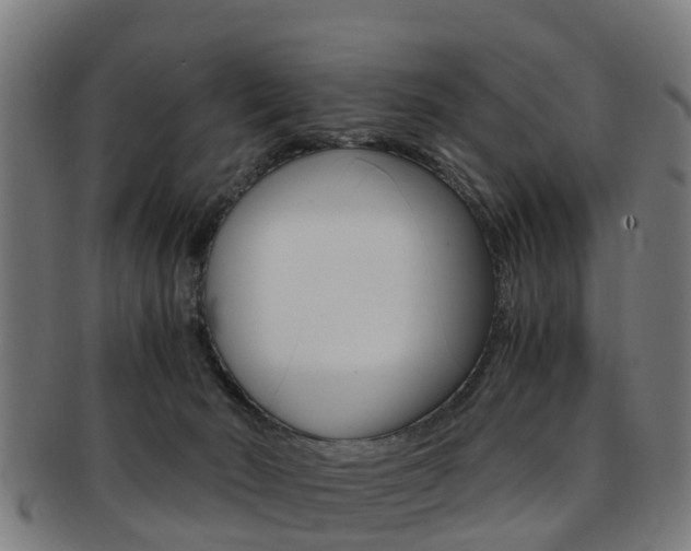 X0000092000030200709061249