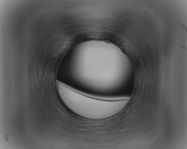 X0000092000031200709061249