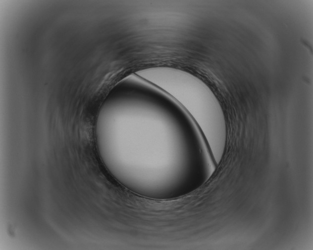 X0000092000035200709061249