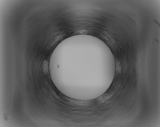 X0000092000036200709061249
