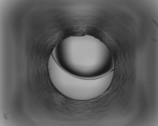 X0000092000037200709061249