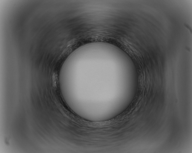 X0000092000038200709061249