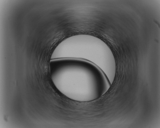 X0000092000039200709061249