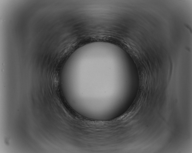 X0000092000040200709061249