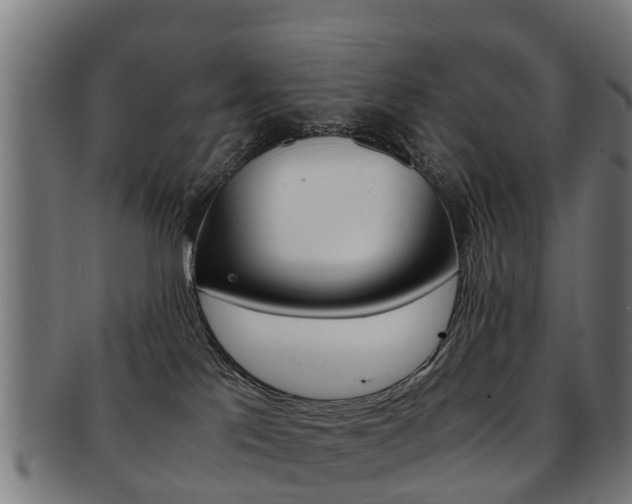 X0000092000041200709061249